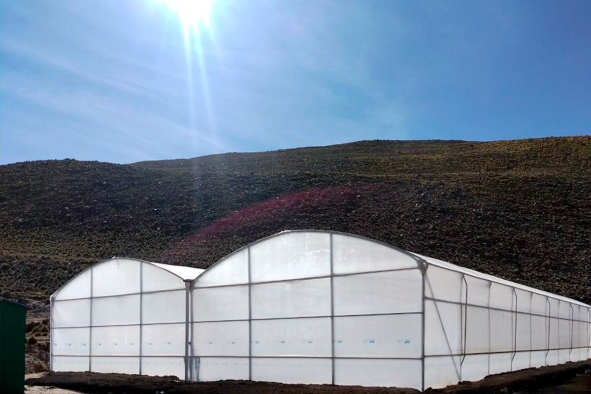 Jayaquila inaugura un vivero que apuesta por la educación y seguridad alimentaria para la comunidad minera potosina