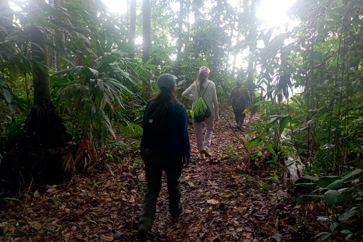 Madidi y Pilón Lajas: Crónicas de un pasaporte a la vida